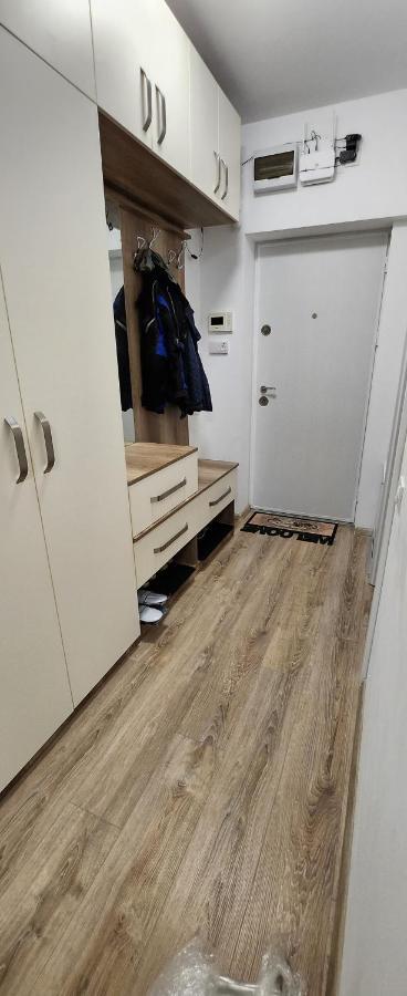 Butterfly Apartment Тимишоара Экстерьер фото
