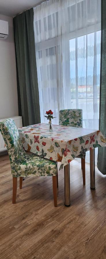 Butterfly Apartment Тимишоара Экстерьер фото