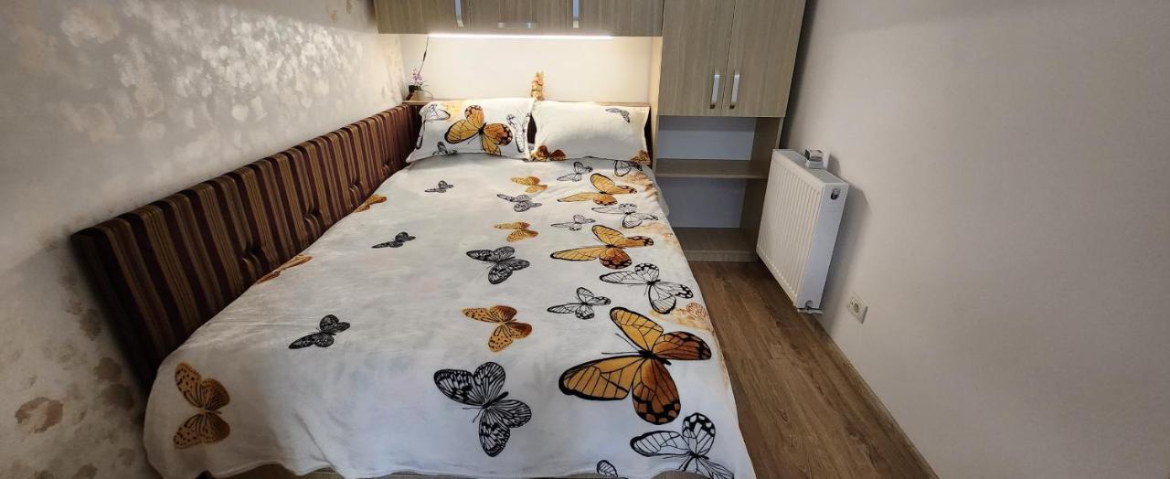 Butterfly Apartment Тимишоара Экстерьер фото