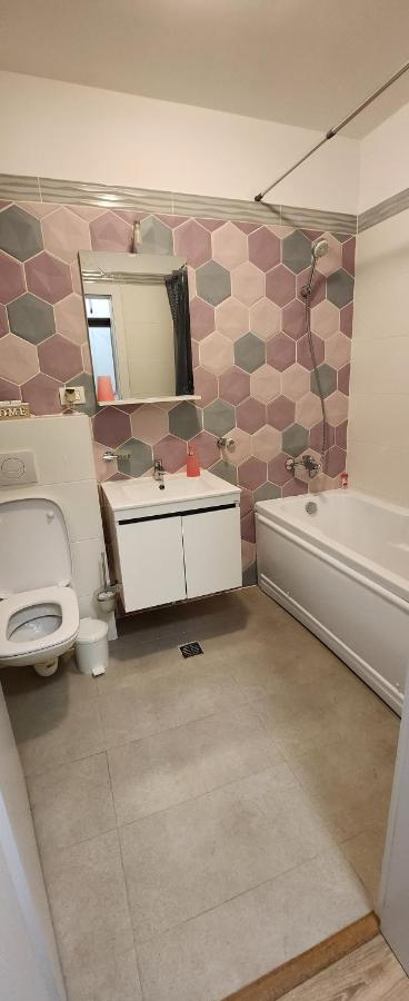 Butterfly Apartment Тимишоара Экстерьер фото