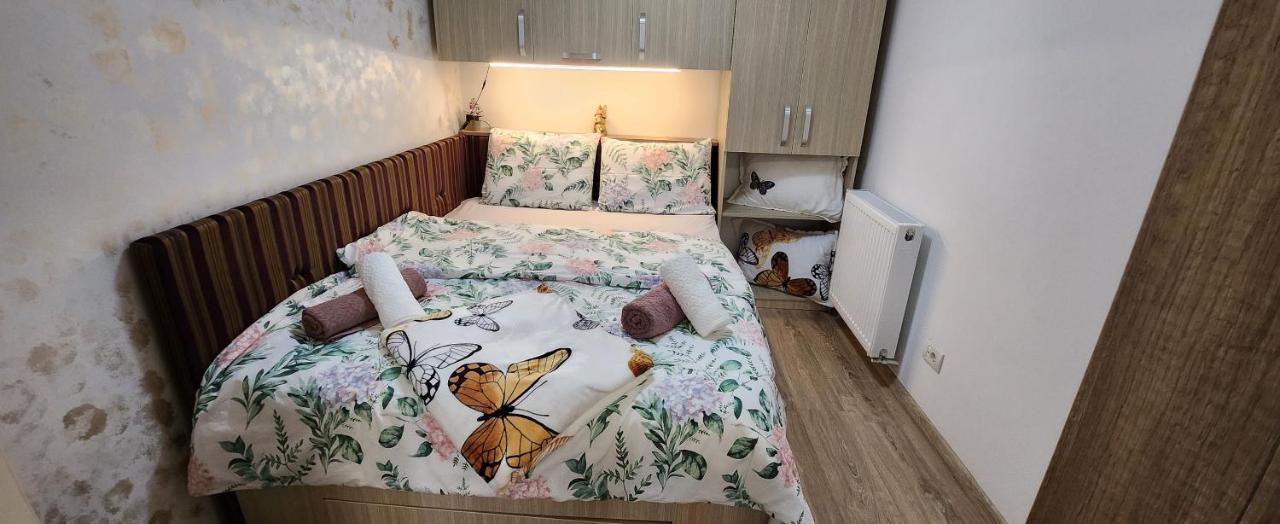 Butterfly Apartment Тимишоара Экстерьер фото
