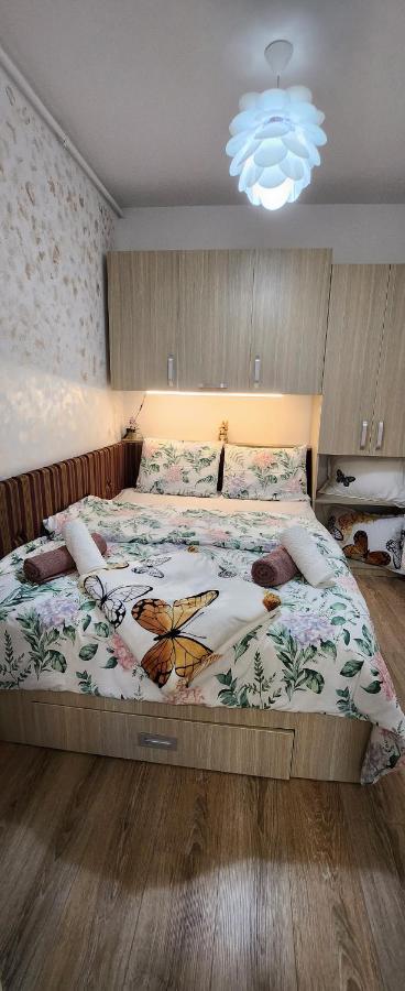 Butterfly Apartment Тимишоара Экстерьер фото