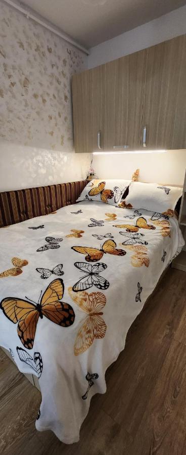 Butterfly Apartment Тимишоара Экстерьер фото